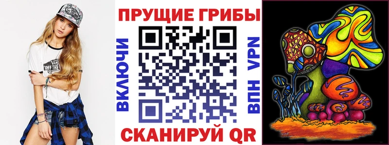 blacksprut как зайти  что такое наркотик  Ирбит  Галлюциногенные грибы Cubensis 