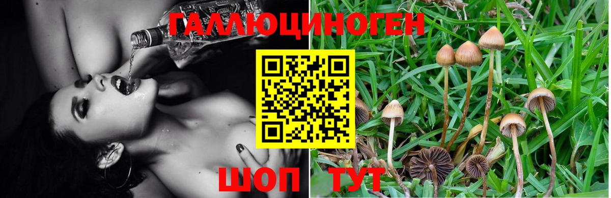 Галлюциногенные грибы GOLDEN TEACHER Ирбит
