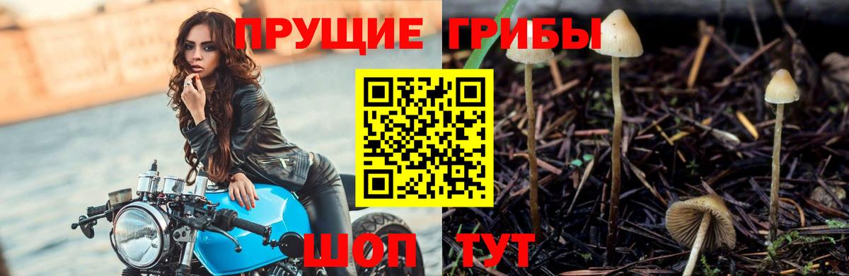 Ирбит  Галлюциногенные грибы мухоморы  Вход с VPN 
